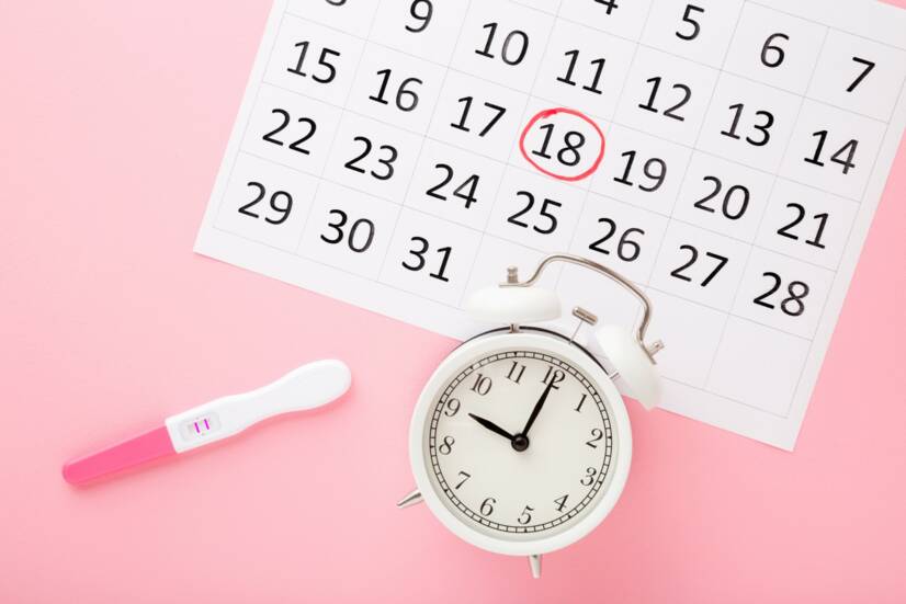 Kedy mám ovuláciu: ako na výpočet plodných a neplodných dní? Plánujte si tehotenstvo