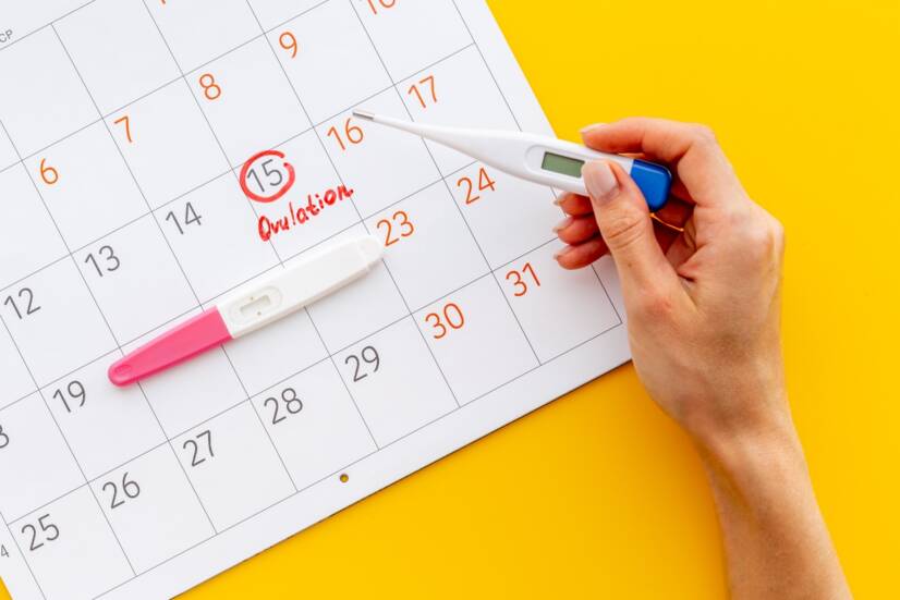 Ako sa prejavuje ovulácia? Alebo: Ako zistím, že mám ovuláciu?