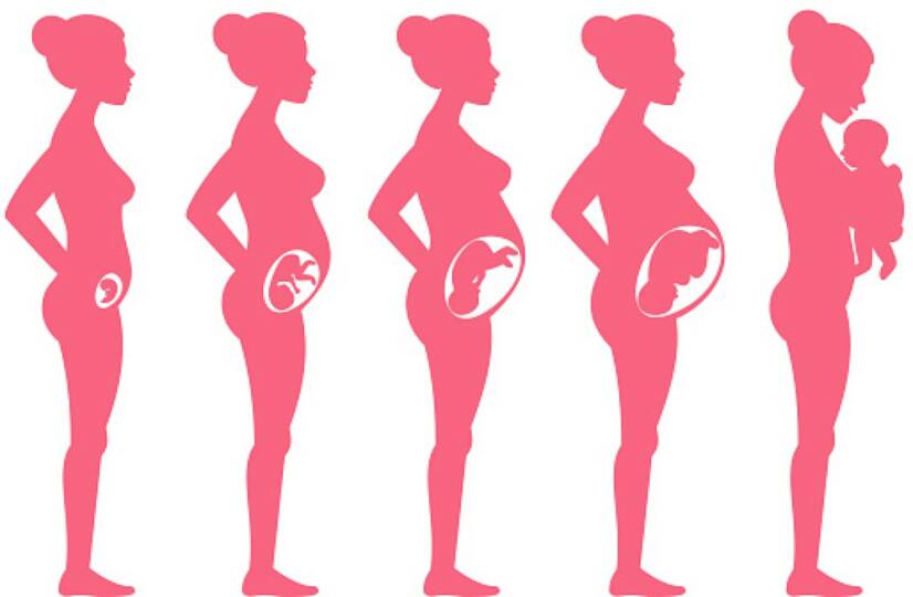 Tehotenstvo po týždňoch: Ako prebieha tehotenstvo a vývoj plodu?