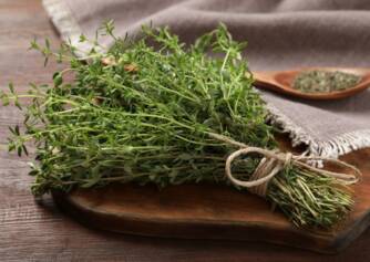 Tymian: Zdravotné benefity aromatickej byliny. Pestovanie a využitie v kuchyni