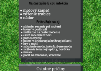 Infografika: Najčastejšie príčiny bolesti pri močení