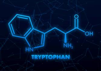 L-tryptofán a jeho účinky na organizmus. Pomáha na dobrú náladu a spánok?