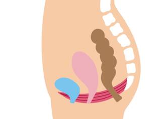 Panvové dno: Akú má u žien funkciu a význam? + Cviky na posilnenie a uvoľnenie