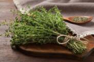 Tymian: Zdravotné benefity aromatickej byliny. Pestovanie a využitie v kuchyni