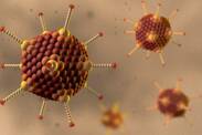 Adenovírusová infekcia: Čo je adenovírus, jeho prenos a príznaky?