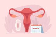 Ako funguje menštruačný cyklus? Dĺžka a fázy cyklu + príznaky