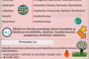 Infografika: Aké druhy boreliózy sú rozšírené v Európe a aká je prevencia pred nákazou