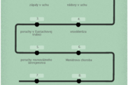 Infografika: Aké sú príčiny tinnitusu?