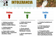 Infografika: Laktózová intolerancia - príčiny, príznaky a liečba