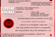 Infografika: Stručné informácie o krvi, červenej krvinke a hemoglobíne