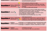 Infografika: Súhrn spôsobov prenosu hepatitíd podľa typu