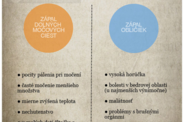 Infografika: Symptómy zápalu dolných močových ciest a zápalu obličiek, ktoré sa prejavujú častým močením