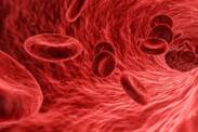 Rozpad červených krviniek: Čo je to hemolýza a prečo vzniká?