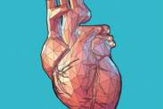 Zväčšenie srdca: Pre chorobné príčiny či pre šport? (Kardiomegália)