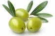 Zdravé olivy. Prečo ich jesť? A aké majú účinky na zdravie?